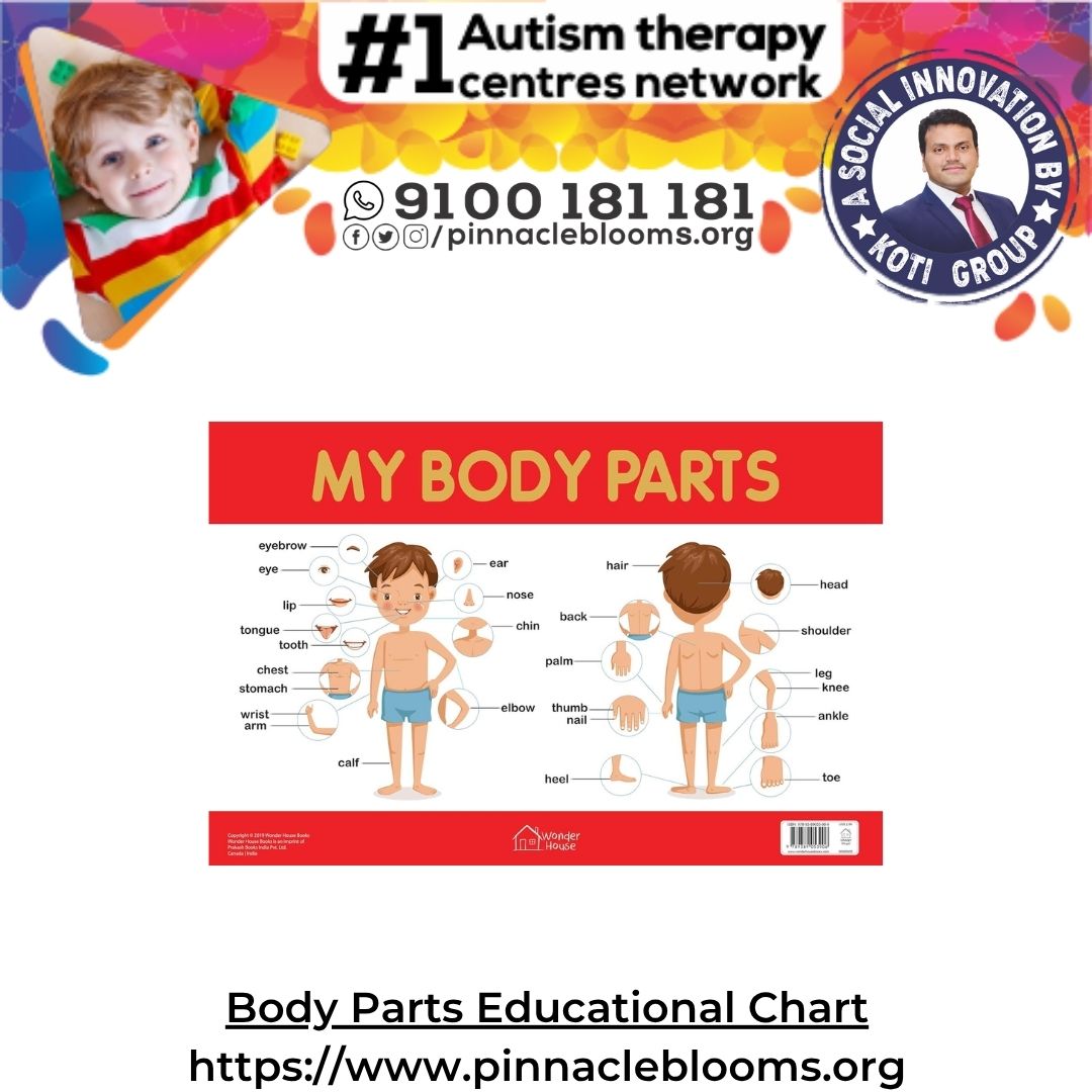 Empowering Kids Through Body Parts Charts | Pinnacle Blooms Network