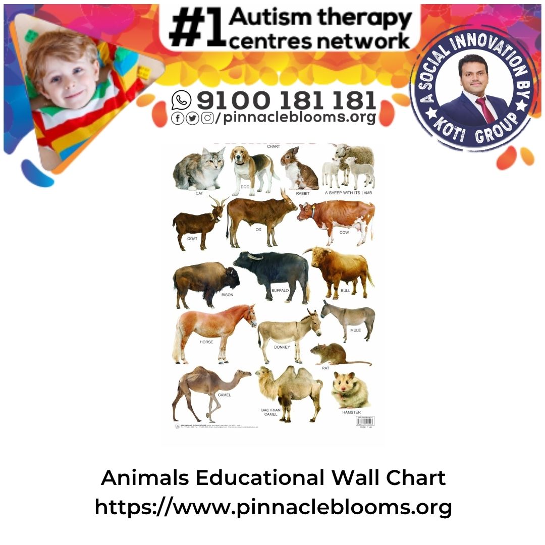 Animals Chart: A Vital Tool in Autism Therapies