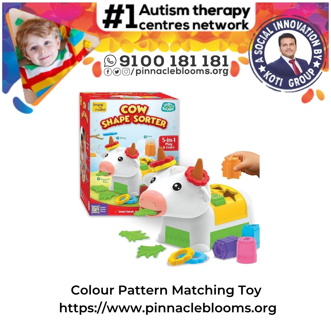 Unlock Growth with Colour Pattern Matching Toys | Pinnacle Blooms Network