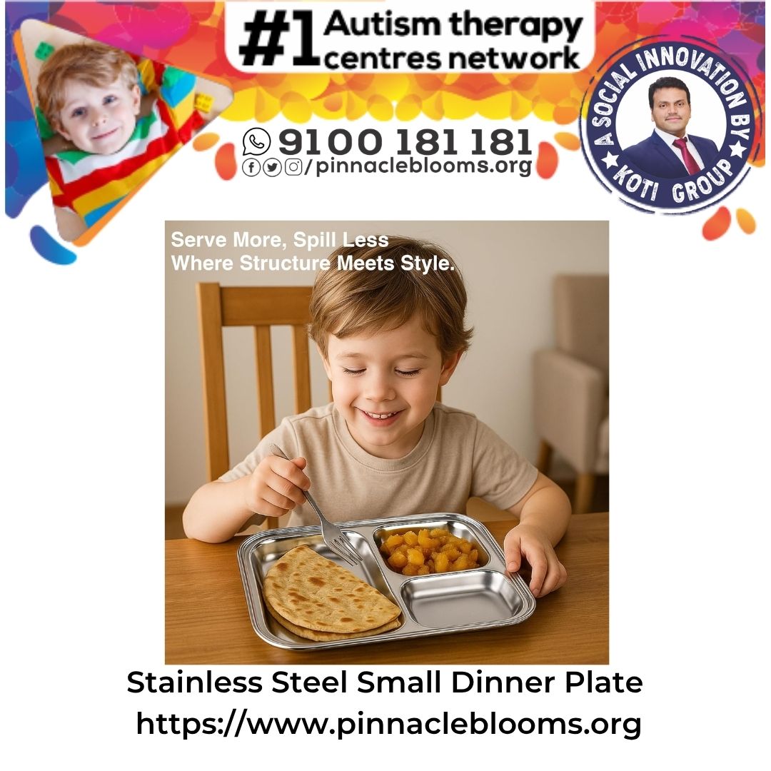 Harnessing Stainless Steel Small Dinner Plates in Autism Therapy: A Pinnacle Blooms Network Perspective