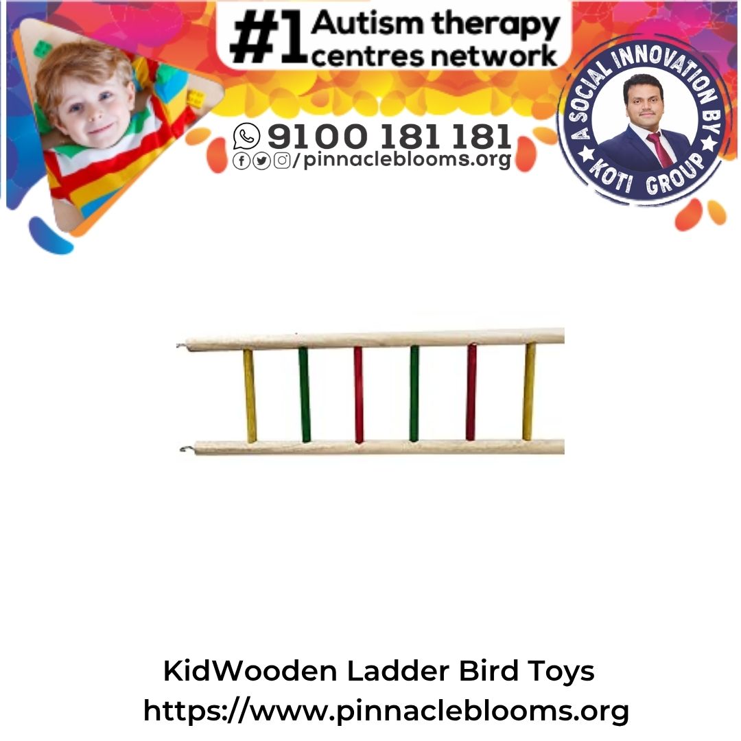 Unleashing Potential with the Wooden Ladder Bird Toy