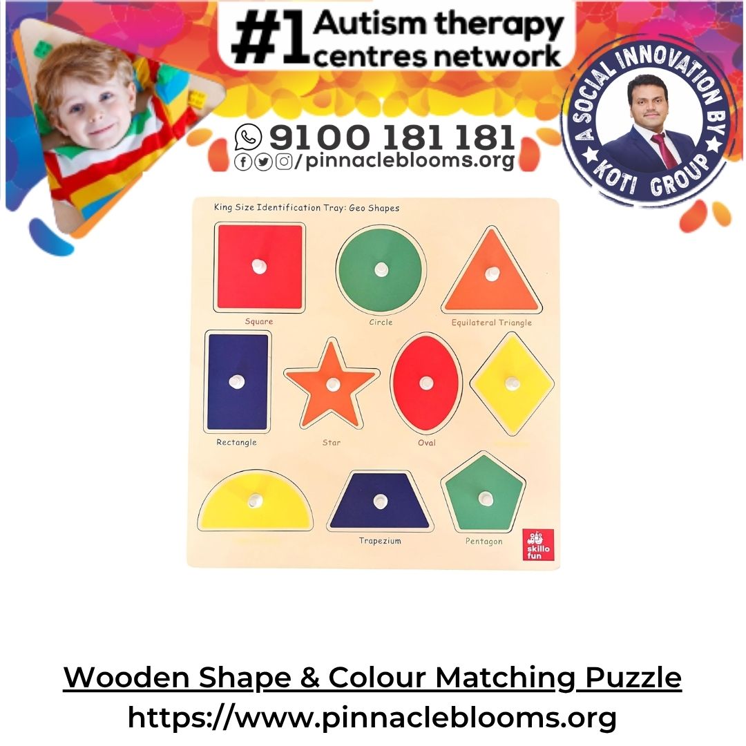 Transformative Power of Wooden Shapes in Autism Therapy | Pinnacle Blooms Network