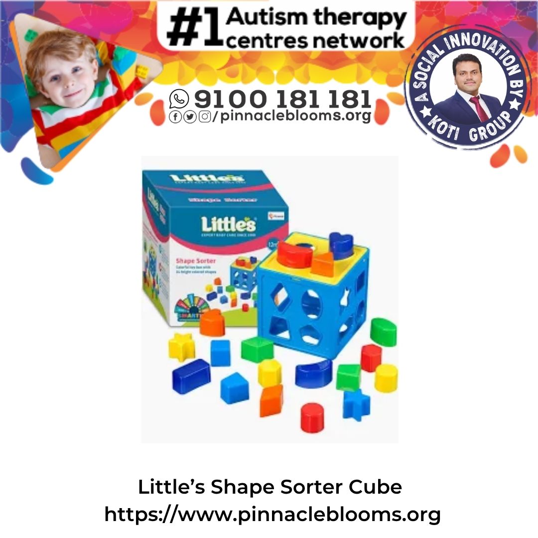 Unlocking Potential: Little’s Shape Sorter Cube and Autism Therapy | Pinnacle Blooms Network