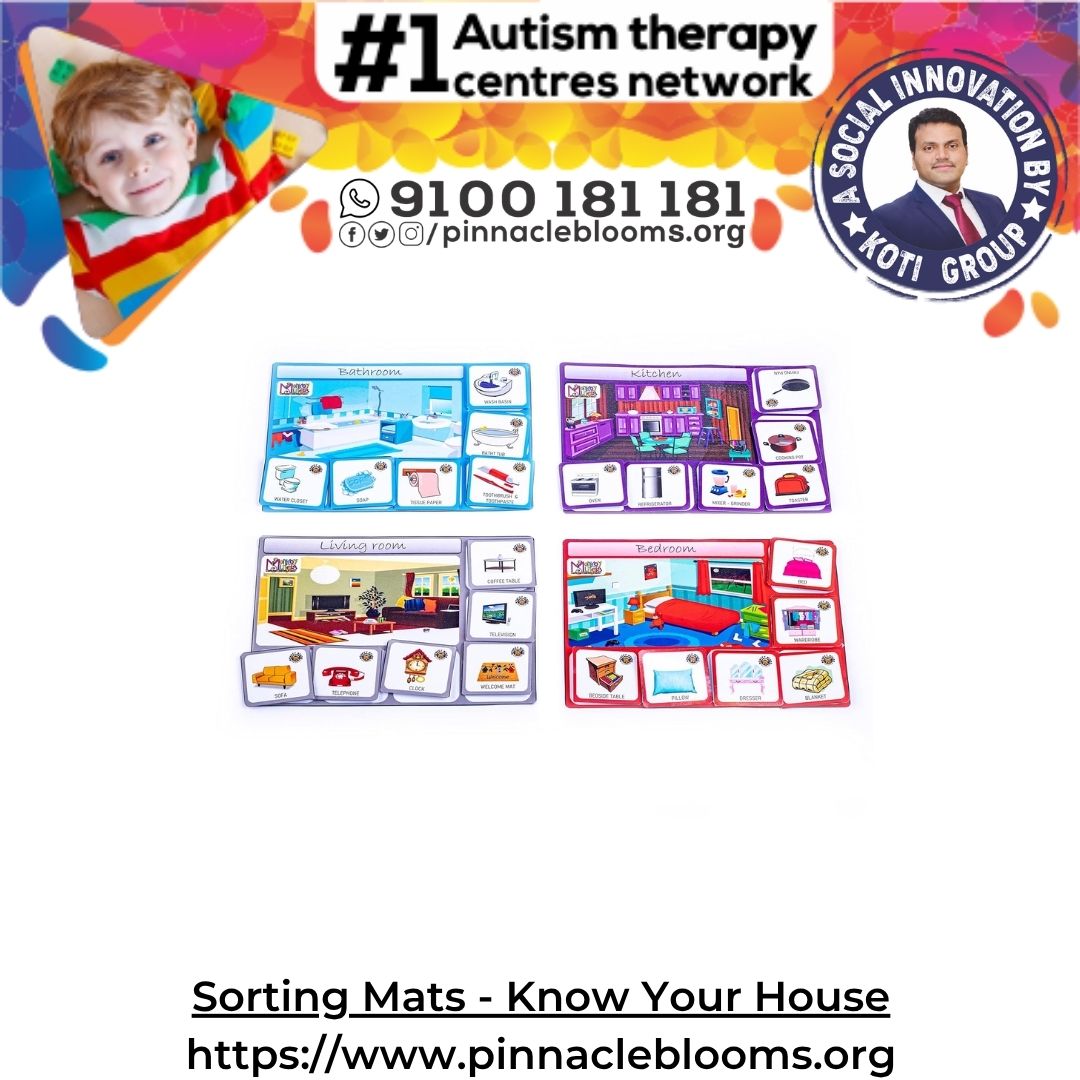 Harness the Power of Sorting Mats - Know Your House for Autism Therapy