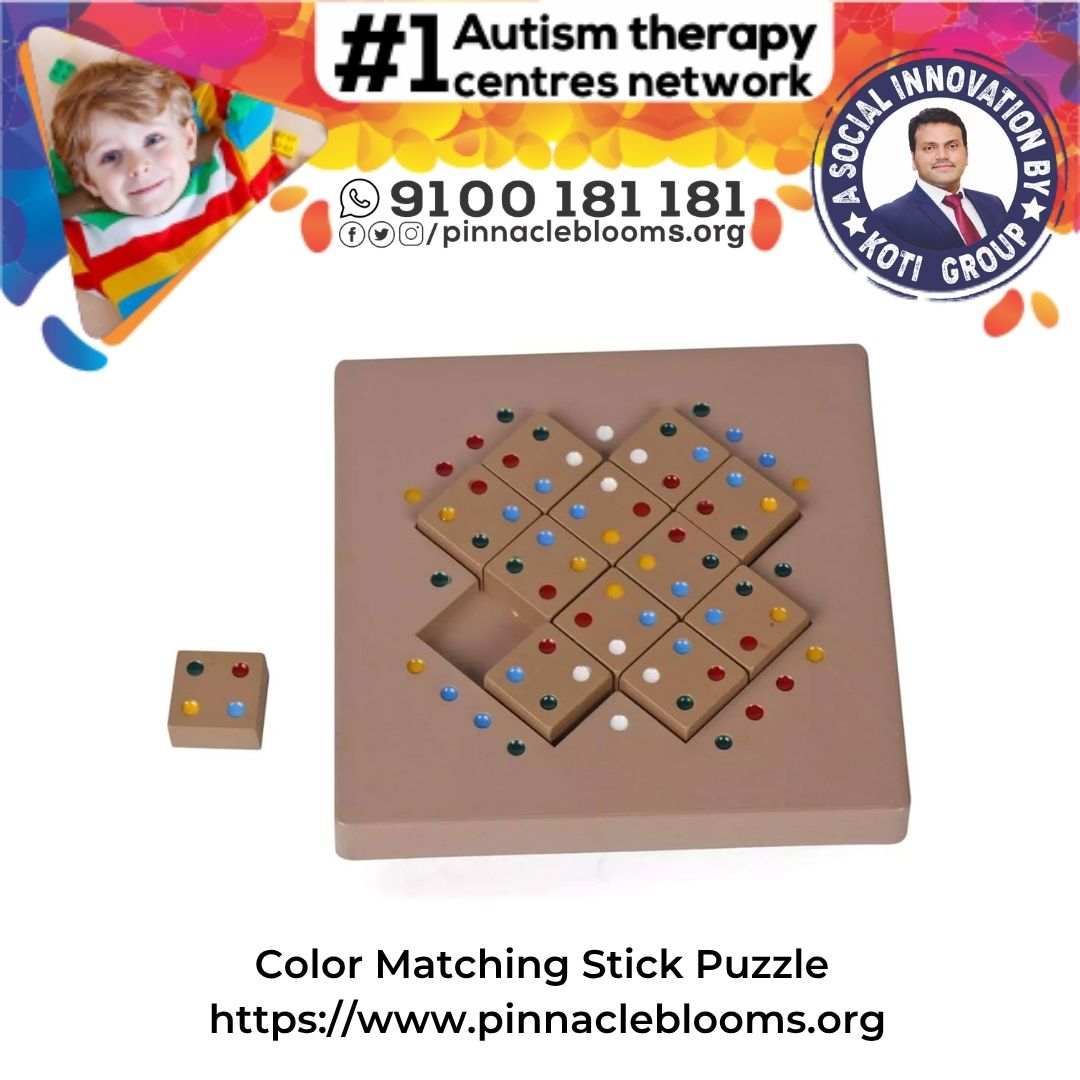 Boost Child Development with Color Matching Stick Puzzles | Pinnacle Blooms Network