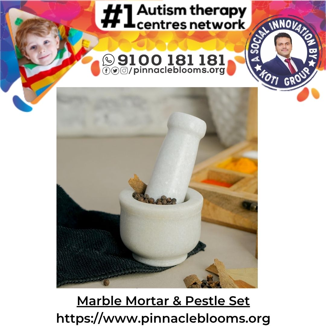Unlocking Potentials with Marble Mortar in Autism Therapies | Pinnacle Blooms Network
