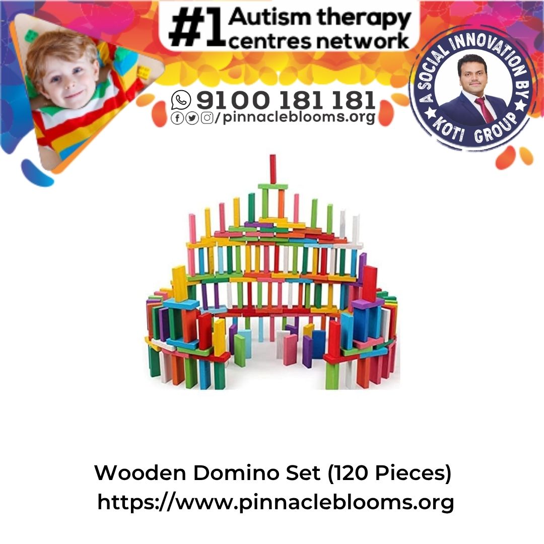 Unlocking Potential with Wooden Domino Set in Autism Therapy