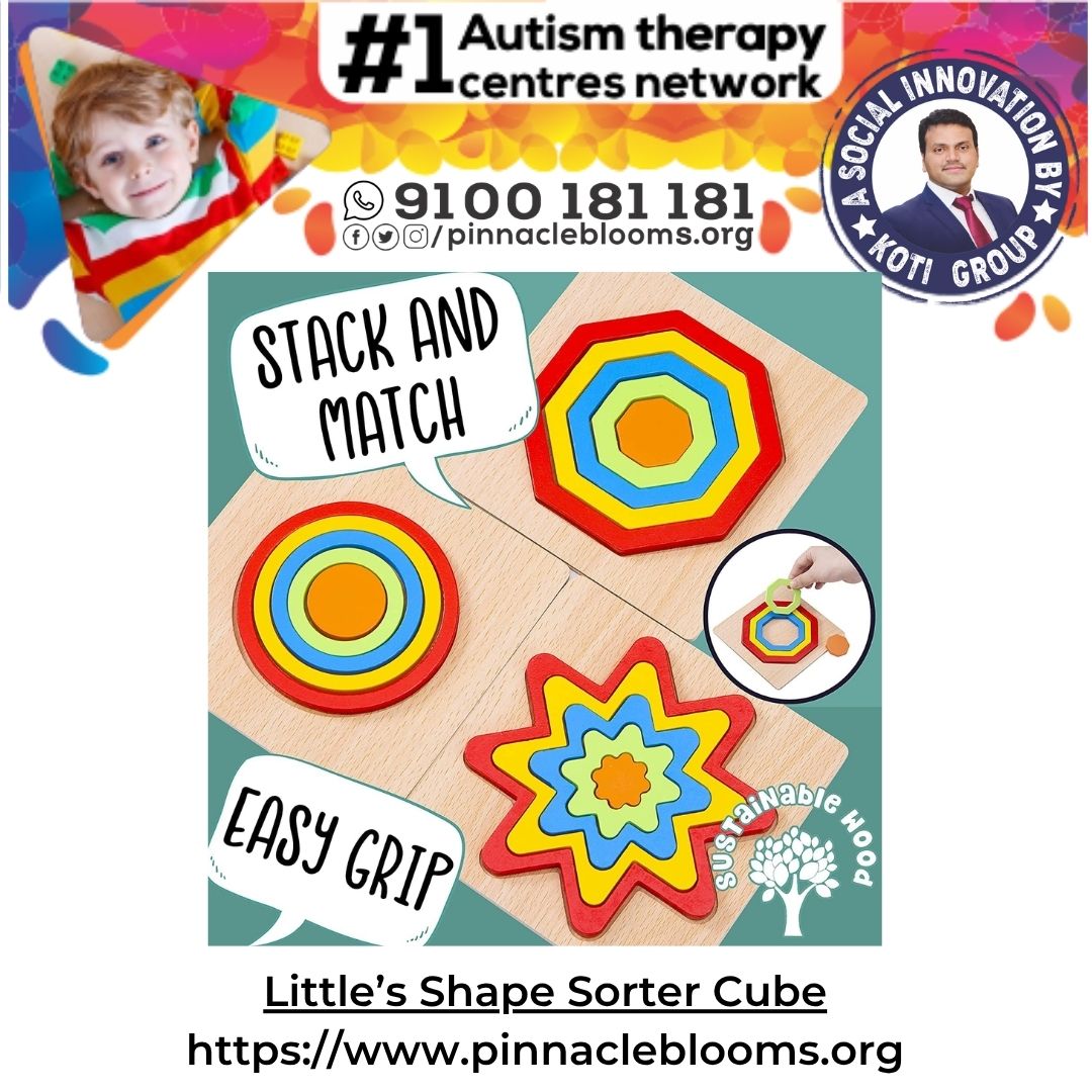 Transforming Lives with the Shape Sorter Cube: A Multi-Therapy Approach
