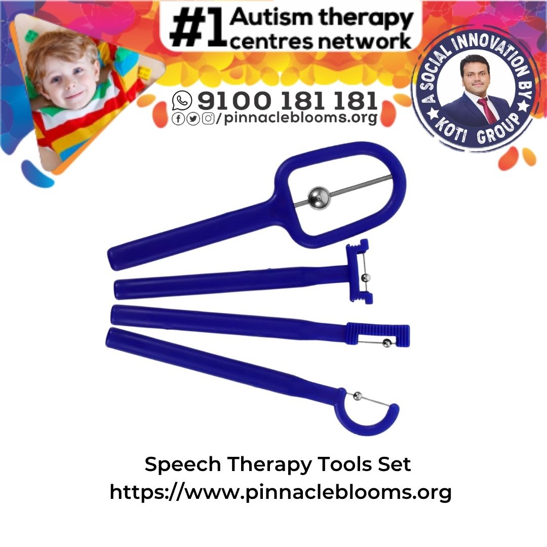 Empowering Growth through Speech Therapy Tools Sets at Pinnacle Blooms Network