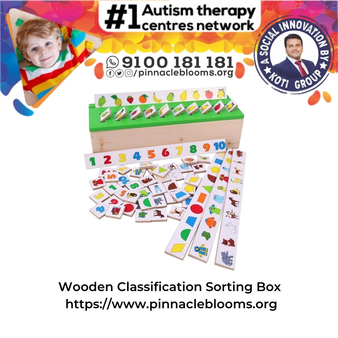 Empower Your Childs Development with the Wooden Classification Sorting Box