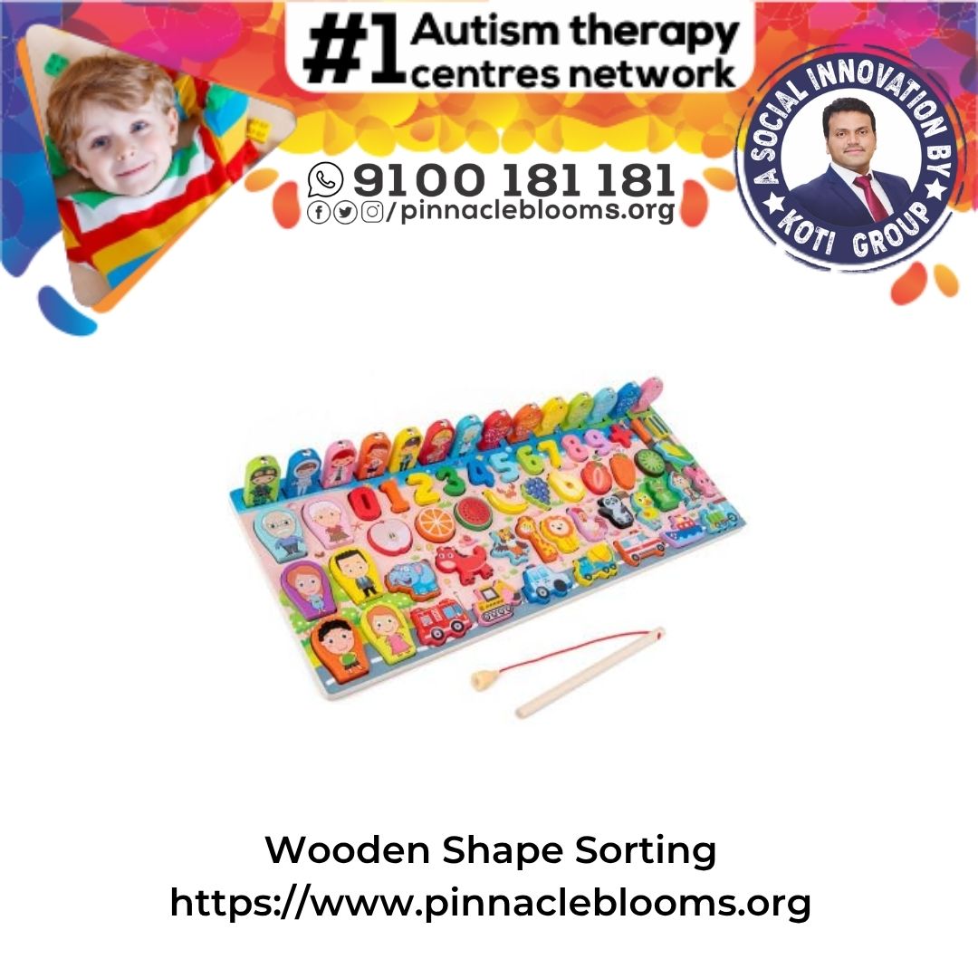 Empower Progress with the Wooden Shape Sorting Game: Unlocking Potential in Autism Therapy