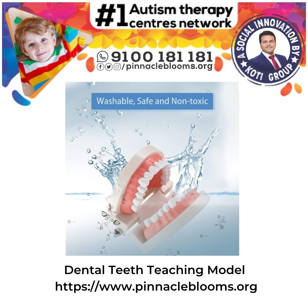 Empowering Childhood Through the Dental Teeth Teaching Model | Pinnacle Blooms Network