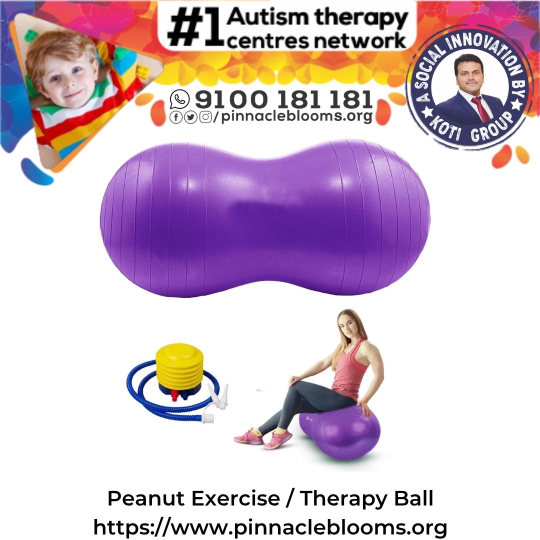 Transforming Lives with Therapy Balls: A Multidisciplinary Approach to Autism Therapy