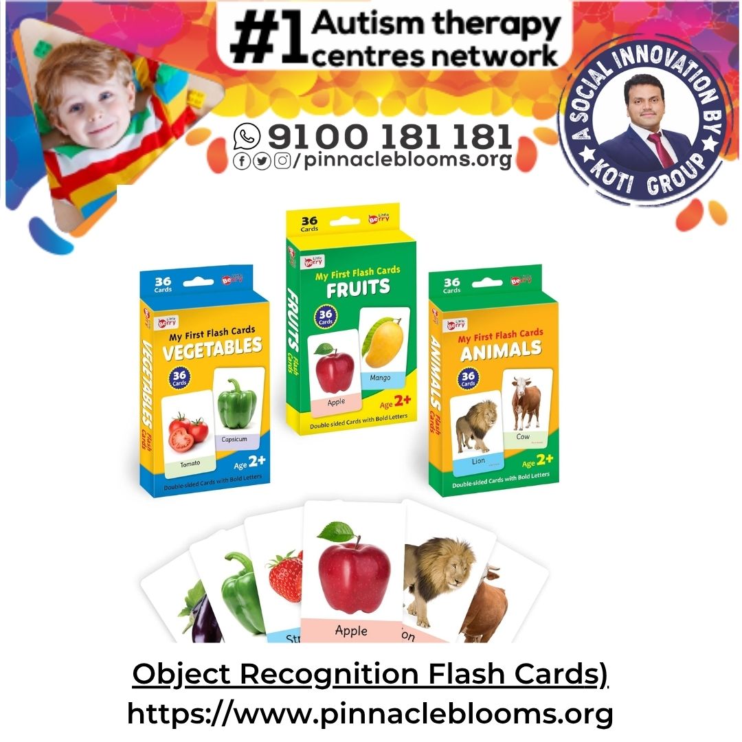 Visual Perception Cards in Autism Therapy | Pinnacle Blooms Network