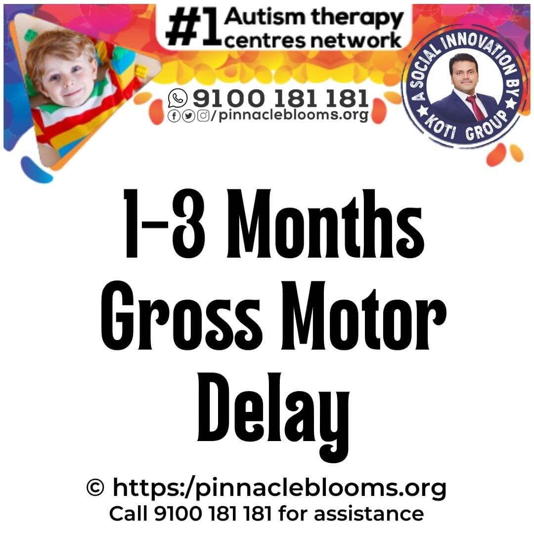 Understanding Gross Motor Developmental Delays in Infants: Pinnacle Blooms Network