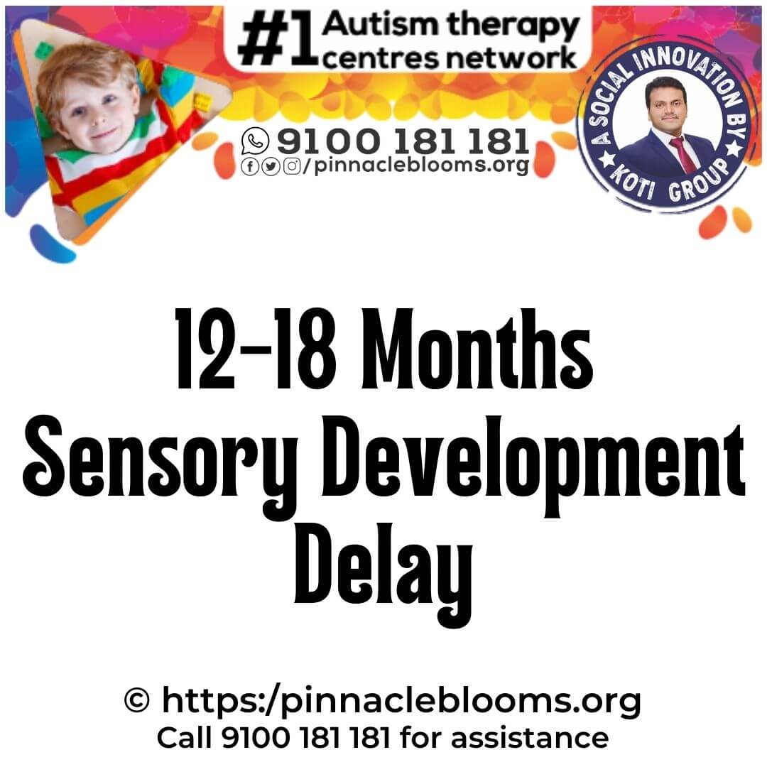 Sensory Development and Developmental Milestone Delays (12-18 Months) | Pinnacle Blooms Network