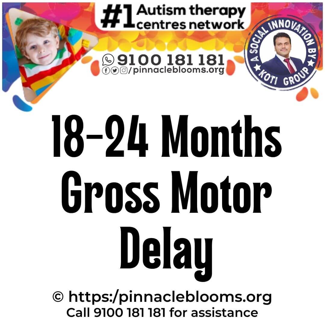 Gross Motor Developmental Milestone Delay.