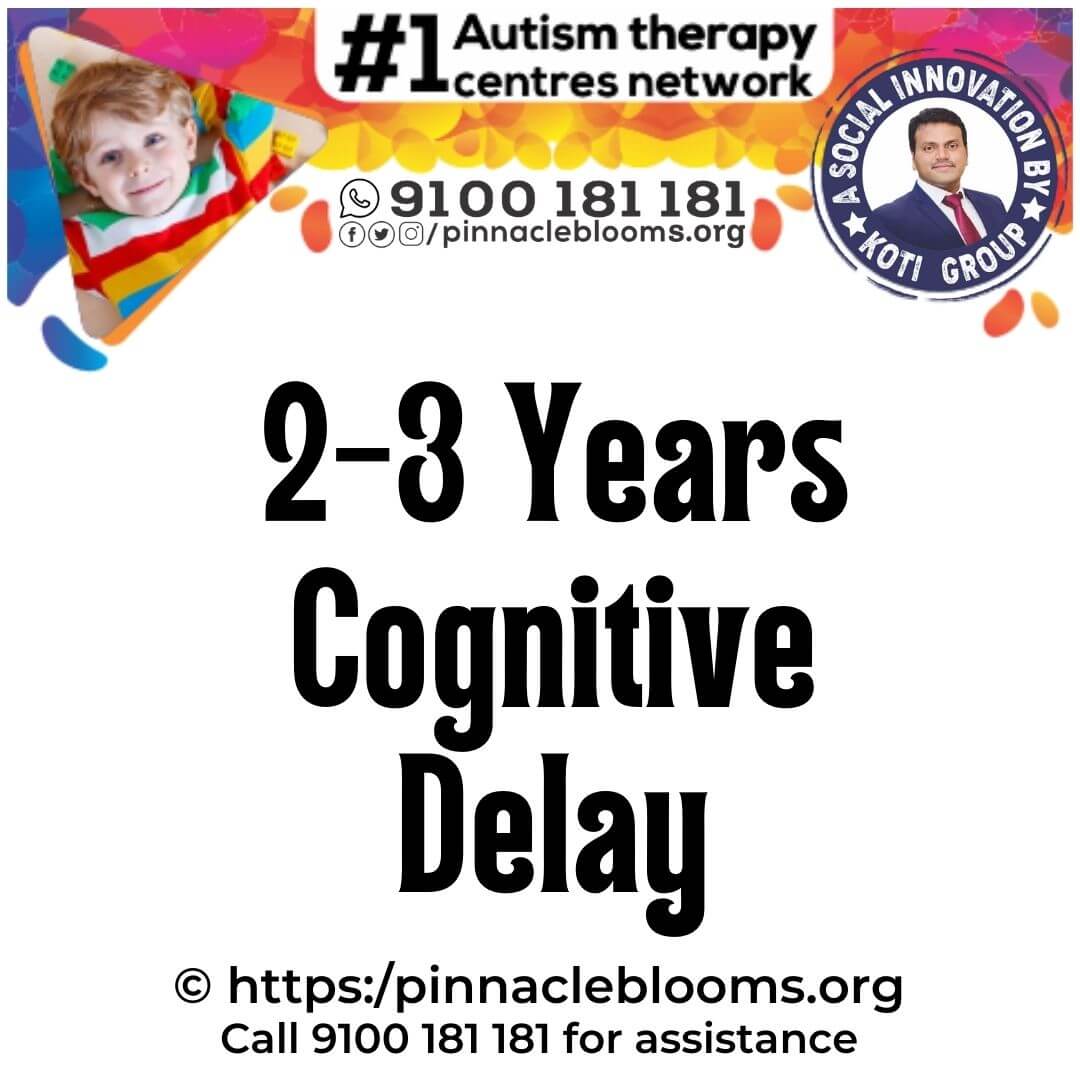 Cognitive Developmental Milestone Delay in 2-3 Years Old - Pinnacle Blooms Network