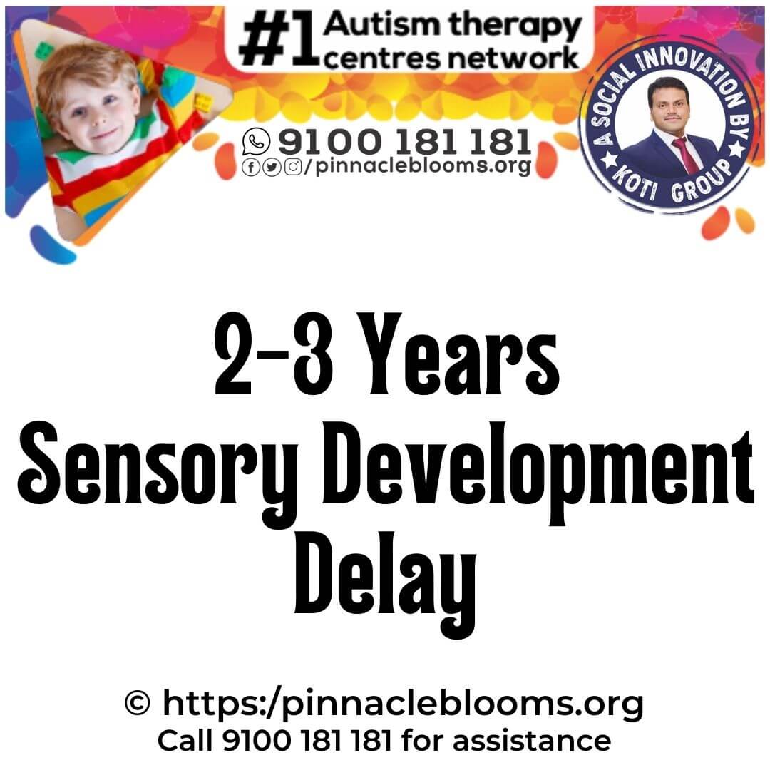 Understanding and Overcoming Sensory Developmental Delays in 2-3 Year Olds