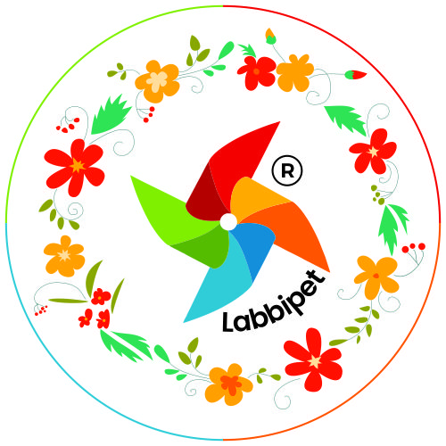 Pinnacle Blooms® - Labbipet, Vijayawada | Autism Therapy | Speech | Occupational | ABA | Child Development Center — Public Speaking in Ramalingeswara Nagar, Vijayawada