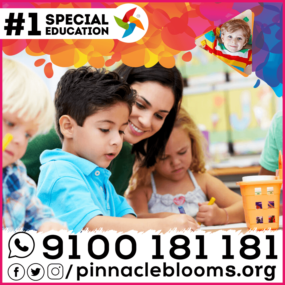 Who provides Pinnacle Special Education services?