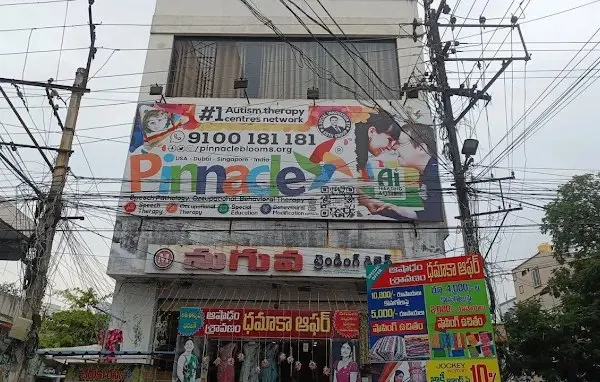 Building and Pinnacle signage at Eluru.