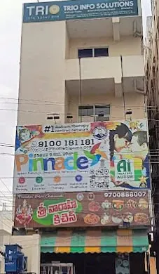 Building and Pinnacle signage at Karimnagar.