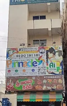 Building and Pinnacle signage at Karimnagar.