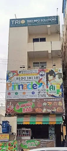 Building and Pinnacle signage at Karimnagar.