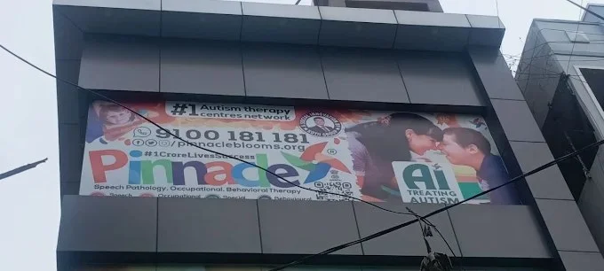Building and Pinnacle signage at Nizampet.