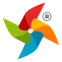 Pinnacle official pinwheel emblem