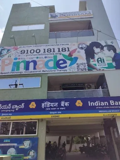Published first-party building photograph with Pinnacle Srikakulam signage.